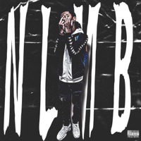 NLMB - Single - Nickindacut