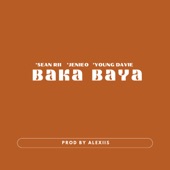 Baka Baya artwork
