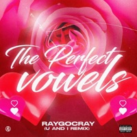 The Perfect Vowels - Single - Raygocray