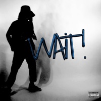 Wait! - Single - SHADED ZU