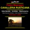 Cavalleria rusticana: Intermezzo artwork
