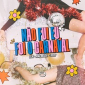 Não Fui Eu, Foi o Carnaval (Remix) artwork