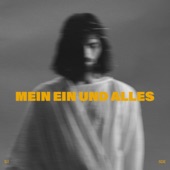 Mein Ein und Alles (Live) artwork