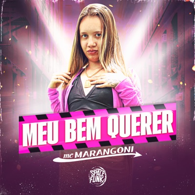 Meu Bem Querer - Single
