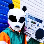 Pink Panda