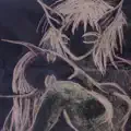 Dreams You Had