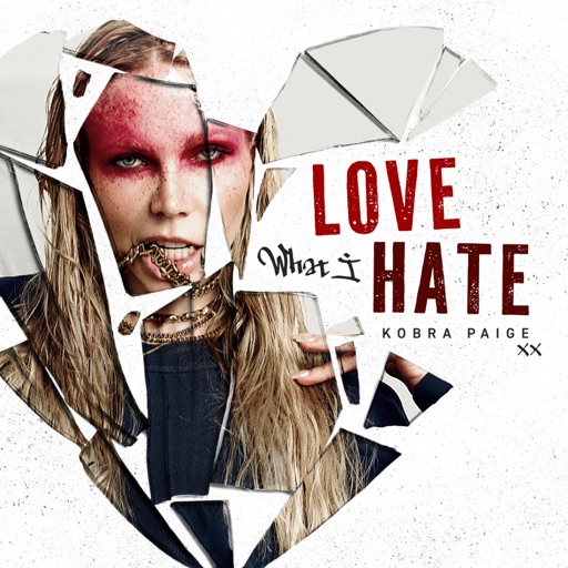 Art for Love What I Hate by Kobra Paige