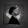 Voelin - Mi Tierra Llora Sangre