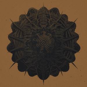 Star Formation / Star Collapse - Single