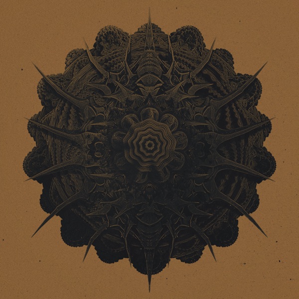 Star Formation / Star Collapse - Single