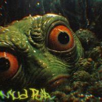 Mud Puppy - Single - Anger Issues