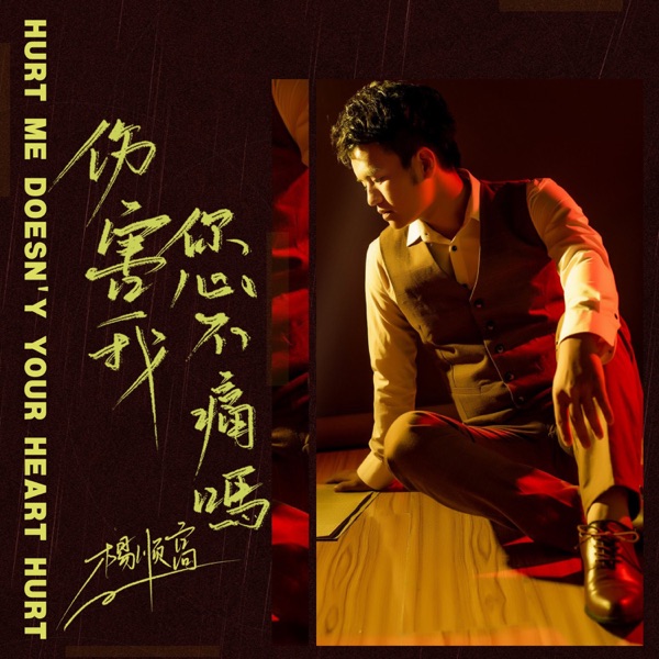 伤害我你心不痛吗 - Single
