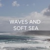 !!!" Waves and Soft Sea "!!!