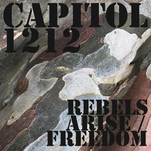 Rebels Arise / Freedom - Single