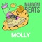 Molly Party beat - Marvoni Beats lyrics