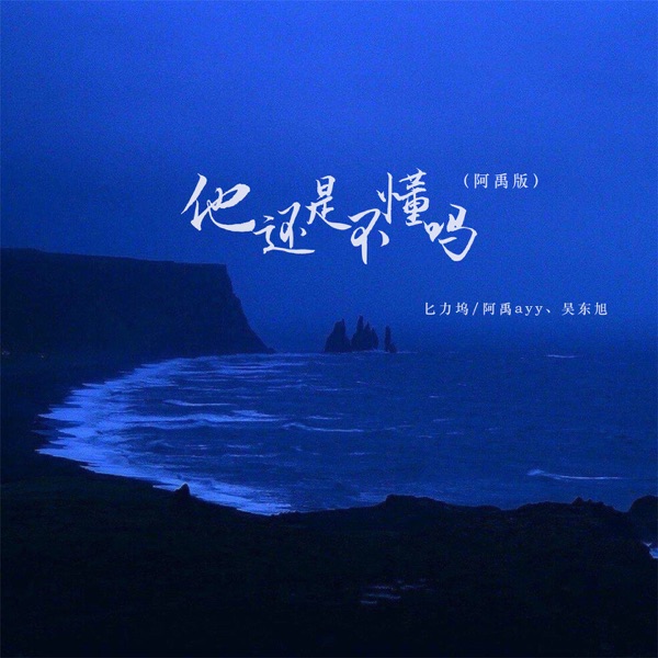 他还是不懂吗 (阿禹版) - Single