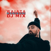Whakapapa (Kiljoy Remix) artwork