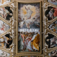 JULIET'S REVENGE (Remix) - Single - FVI$