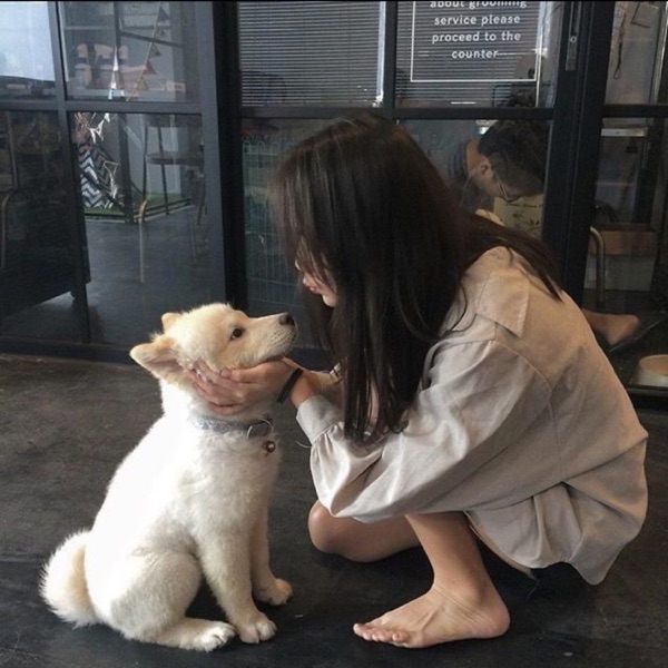 Like DoG