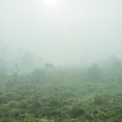 Fightin' the Darkness - EP