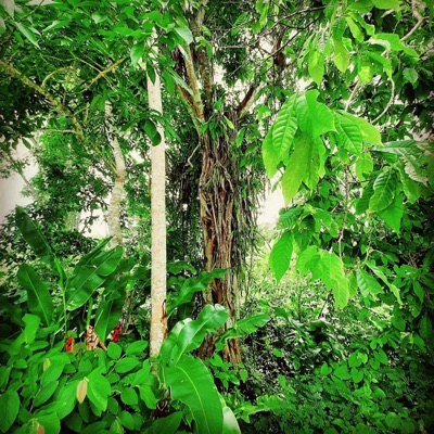 Realer (feat. Porchy) [CHEF UKG RMX] [CHEF UKG RMX] - Single