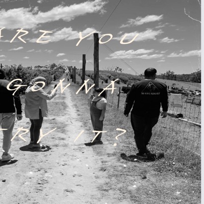 Are You Gonna Try It? - Single