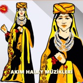 Kürtçe Akım Şarkıları artwork