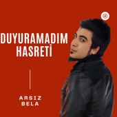 Duyuramadım Hasreti artwork