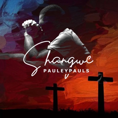 Shangwe (feat. Anita Wise) - Single