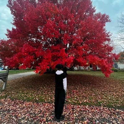 Without 'em (I'll Be Betta) - Single