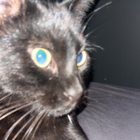 15 Deluxe - Single - 3MonthsToLive