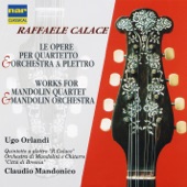 Concerto per mandolino e pianoforte in A Minor, Op. 144: II. Largo artwork