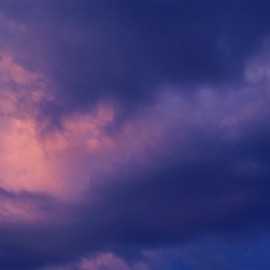 butterfly ask eternity