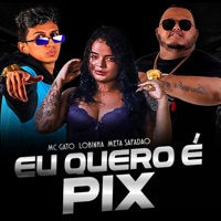 Eu Quero É Pix - Single - meta safadao, lobinha & Mc Gato