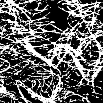 P4X (feat. RoseJoint) - Single