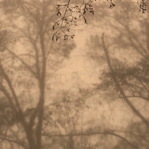The Dark, The Light (feat. Jen Cardini) - Single