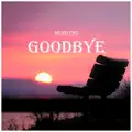 Goodbye