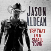 Try That In A Small Town - Jason Aldean song art