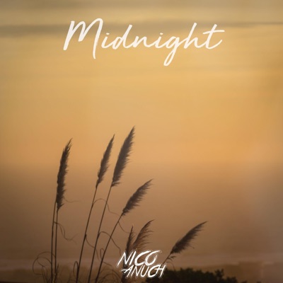 Midnight - Single