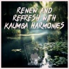 Renew and Refresh with Kalimba Harmonies