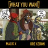 What U Want (feat. Malik X) - Single