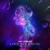 Like To Know (feat. Noubya) artwork