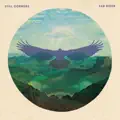Still Corners