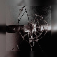 Qaswa - Single - LilTm