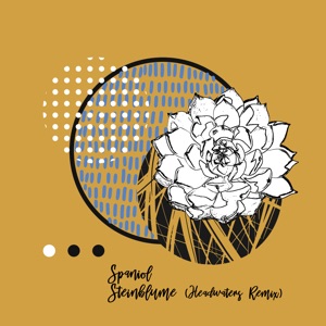 Steinblume (Incl. Headwaters Remix) - Single