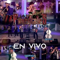 En Vivo Servando ZL - Single - Los Pimenteles