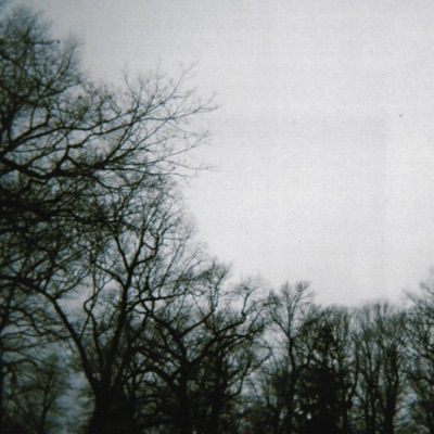 Birdsong - Single