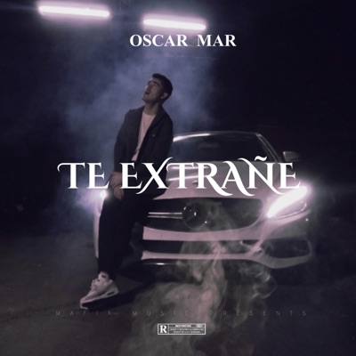 Te Extrañé - Single