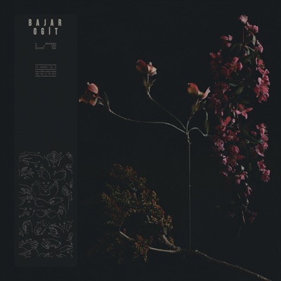 Cawn Gunduz - Bajar Ogit (Tahir Music & Rıdvan Ay Remix)