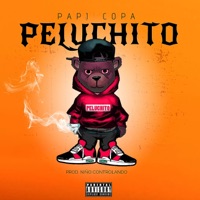 PELUCHITO (feat. Papi Copa) - Single - Niño Controlando
